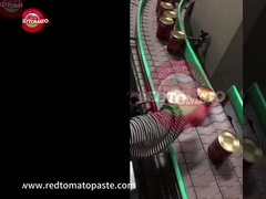 डिब्बाबंद ट्रिपल कंसंट्रेटेड टमाटर पेस्ट 425 ग्राम हार्ड ओपन लिड प्रति टिन