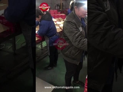 डिब्बाबंद टमाटर का पेस्ट लाइन पर गुणवत्ता नियंत्रण