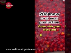 ड्रम टमाटर पेस्ट का नमूना